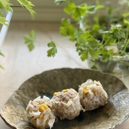 とうもろこしのプチプチと挽肉のムッチリ感がたまらない！さっぱりしてて食べすぎます。とうもろこしでコストも抑えてお財布に優しい♫とうもろこしが旬のうちにリピします